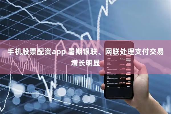 手机股票配资app 暑期银联、网联处理支付交易增长明显