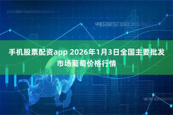 手机股票配资app 2026年1月3日全国主要批发市场葡萄价格行情