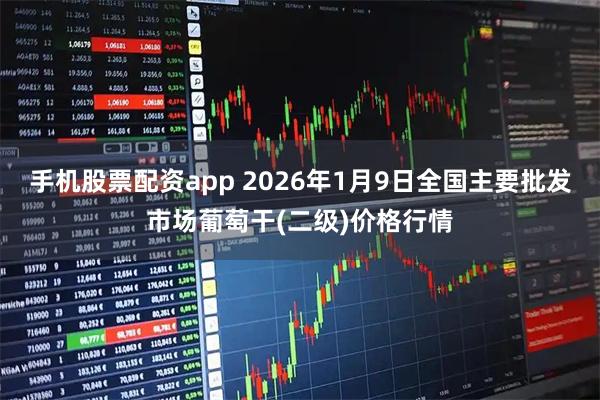手机股票配资app 2026年1月9日全国主要批发市场葡萄干(二级)价格行情
